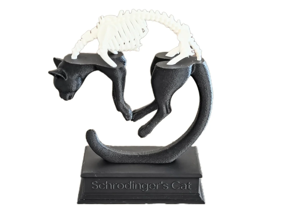 Schrödinger's Cat Quantum Superposition Display Sculpture for Desk or Shelf photo 12