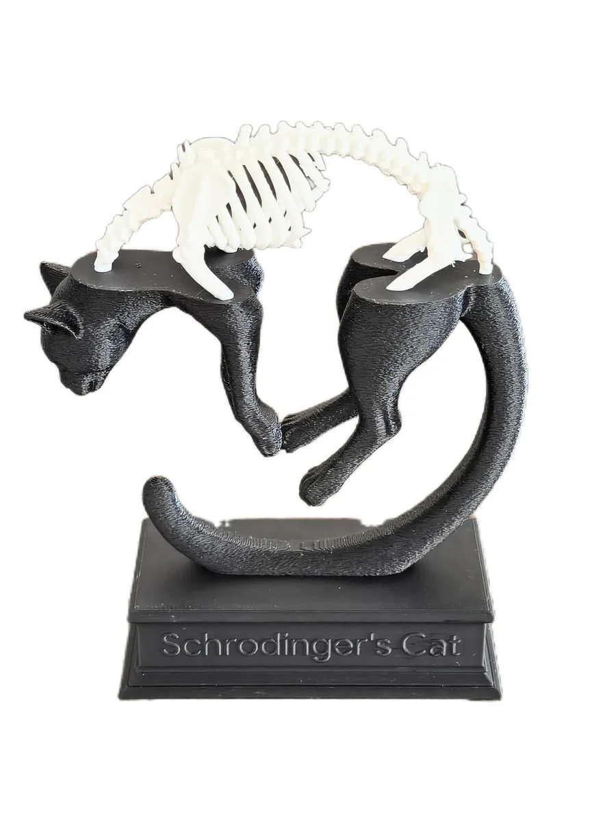 Schrödinger's Cat Quantum Superposition Display Sculpture for Desk or Shelf photo 11