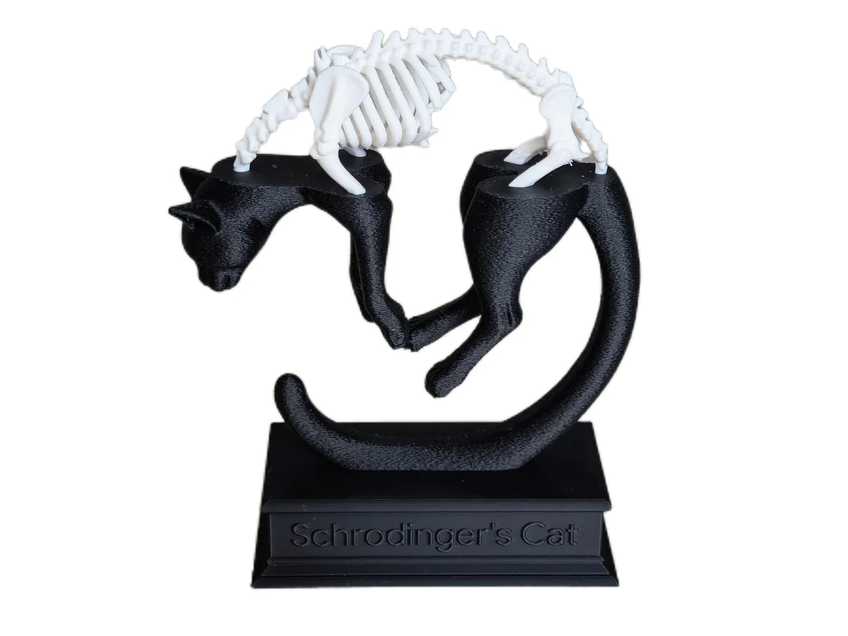 Schrödinger's Cat Quantum Superposition Display Sculpture for Desk or Shelf photo 8